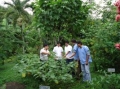 INVESTIGAN PROPIEDADES MEDICINALES DE 500 ESPECIES VEGETALES EN LORETO